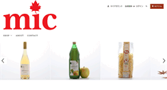 Desktop Screenshot of micimport.com